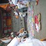 Vraj-Yatra-2014- (1858)